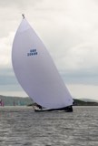 blue jay gbr2068r whyw23 tue 800 4100